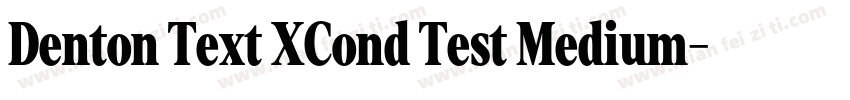 Denton Text XCond Test Medium字体转换